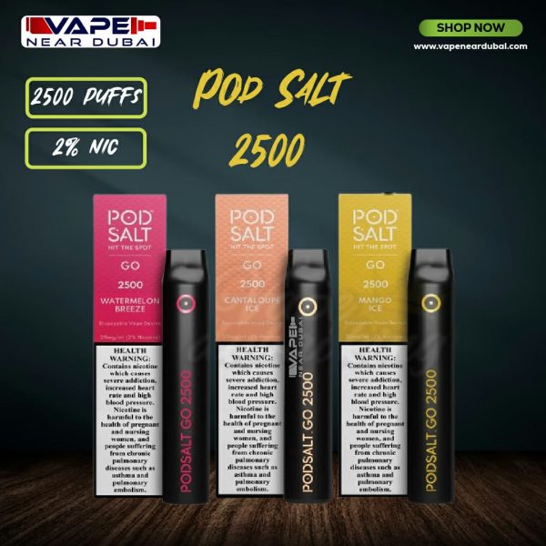 Best Pod salt go Disposable Vape Dubai (2500 Puffs)