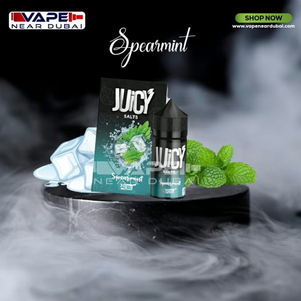 JUICY SALTNIC SPERMINT 30ML E-JUICE IN DUBAI